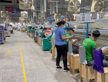 Những Mẫu Giày Q.B Thời Trang tại Xưởng Sản Xuất ở  Bình Dương